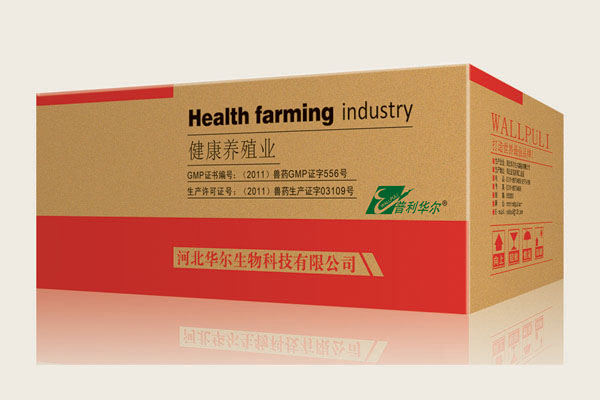 �Fˎţ����